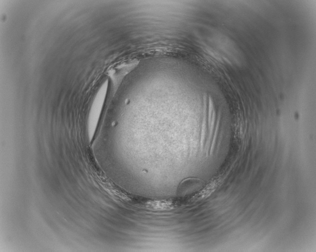 X0000052930660200507221123