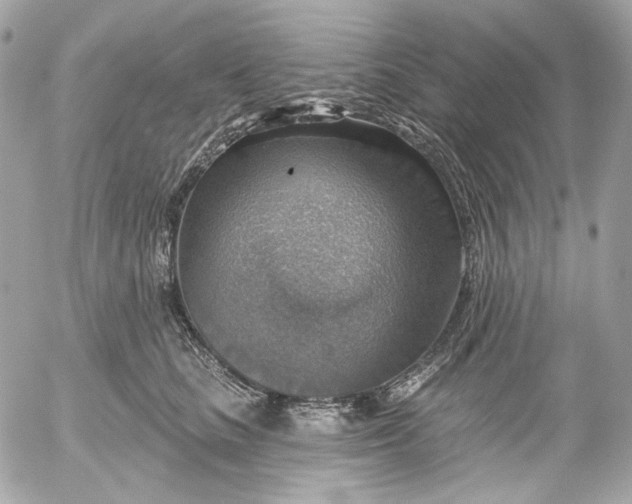 X0000052930661200507221123