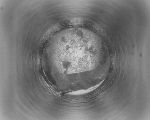 X0000052930662200507221123