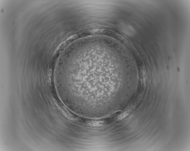 X0000052930664200507221123