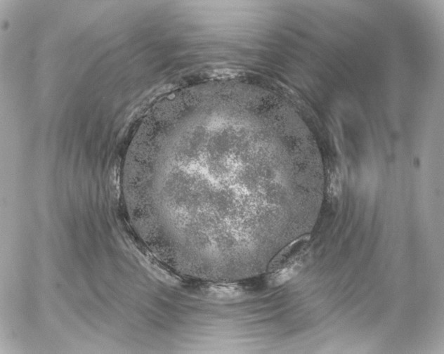 X0000052930666200507221123