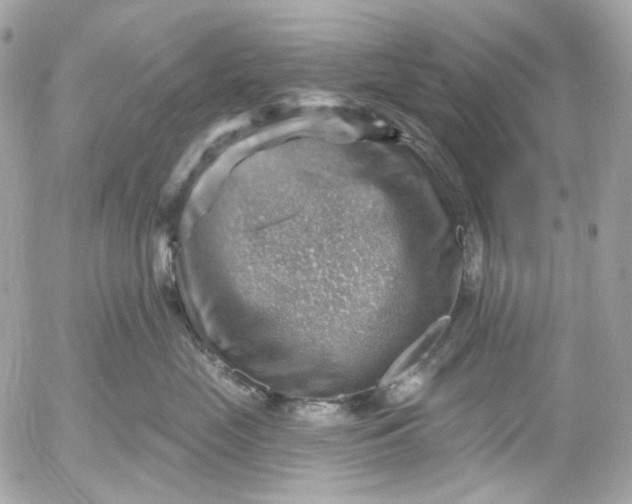 X0000052930669200507221123