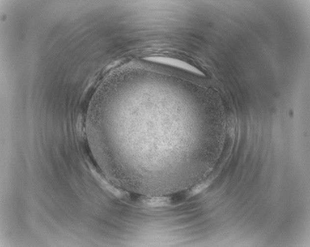 X0000052930670200507221123