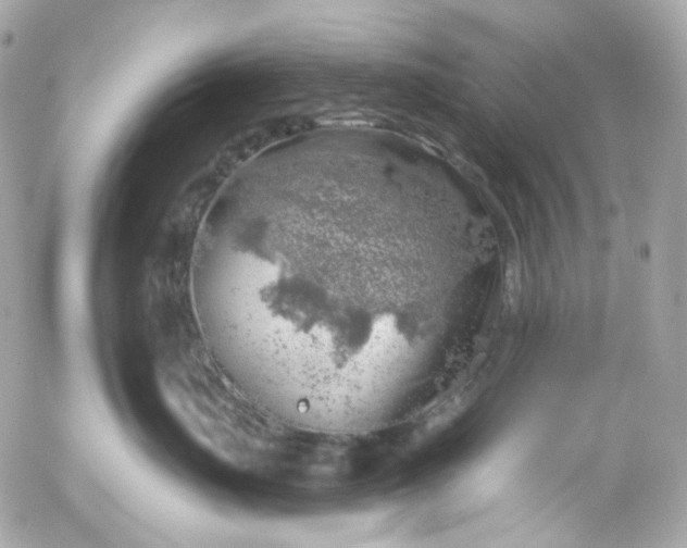 X0000052930671200507221123