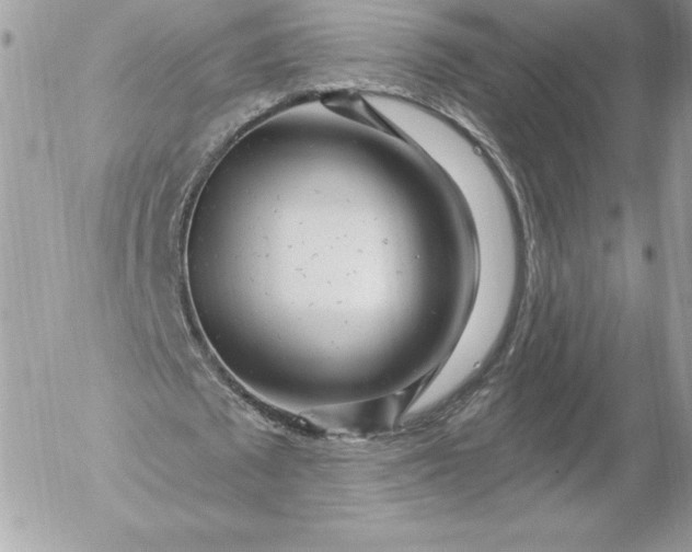 X0000052930673200507221122