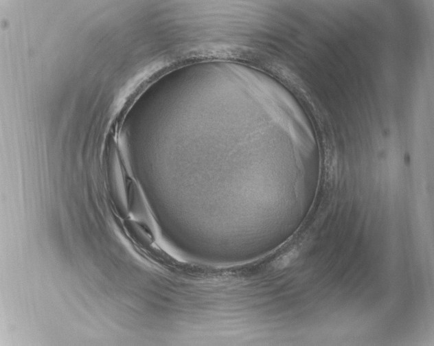 X0000052930674200507221122