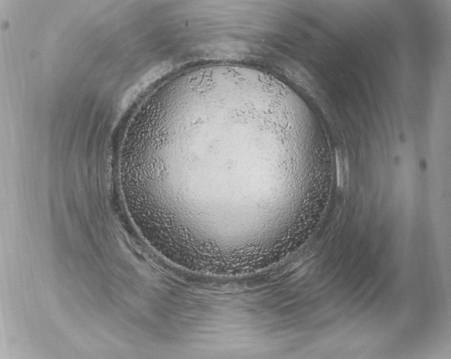 X0000052930675200507221122