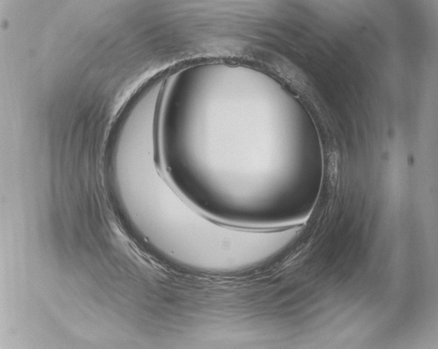 X0000052930676200507221122