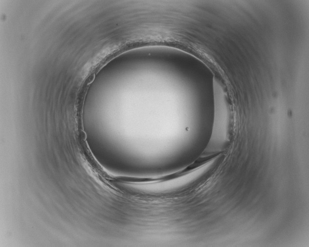 X0000052930677200507221122