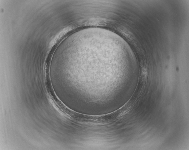 X0000052930678200507221122