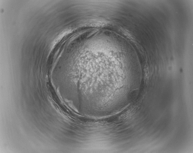 X0000052930679200507221122