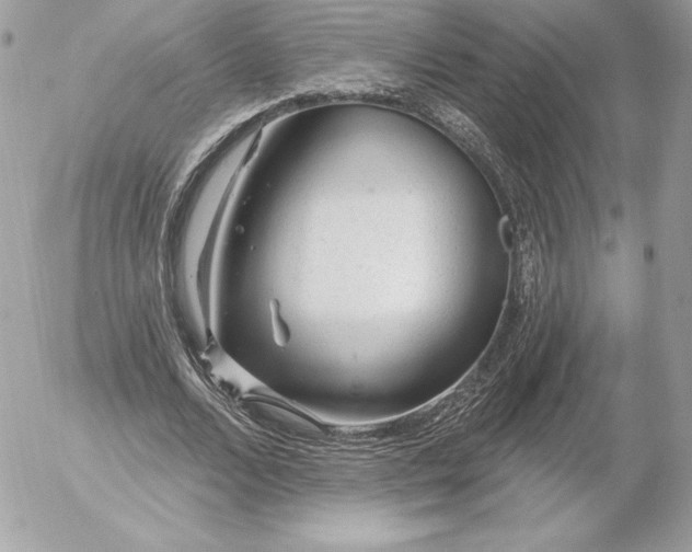 X0000052930680200507221122