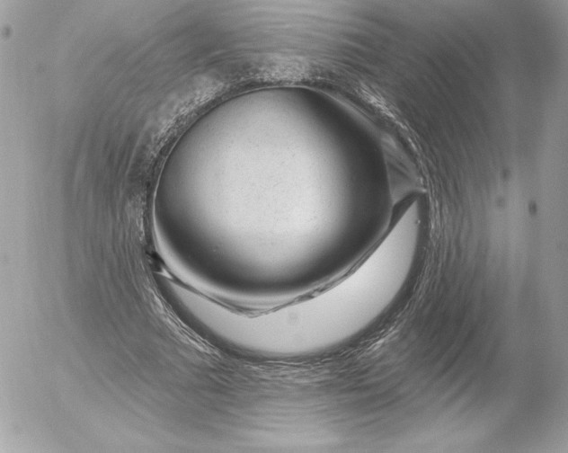 X0000052930681200507221122