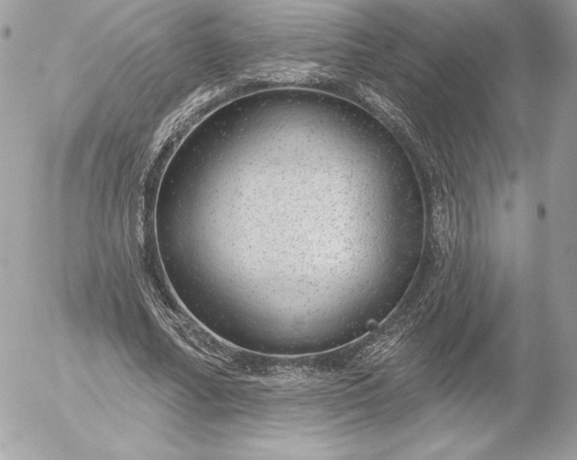 X0000052930682200507221122