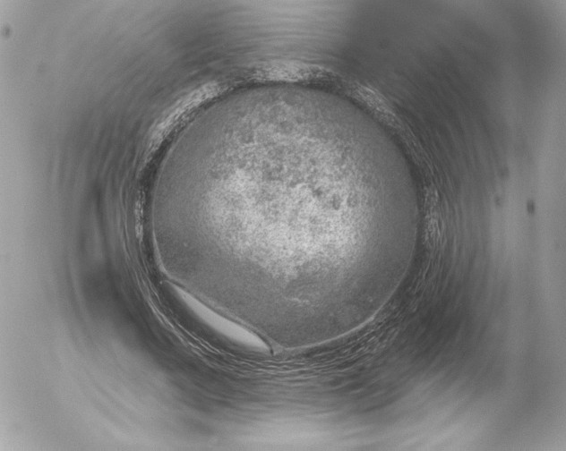 X0000052930683200507221122