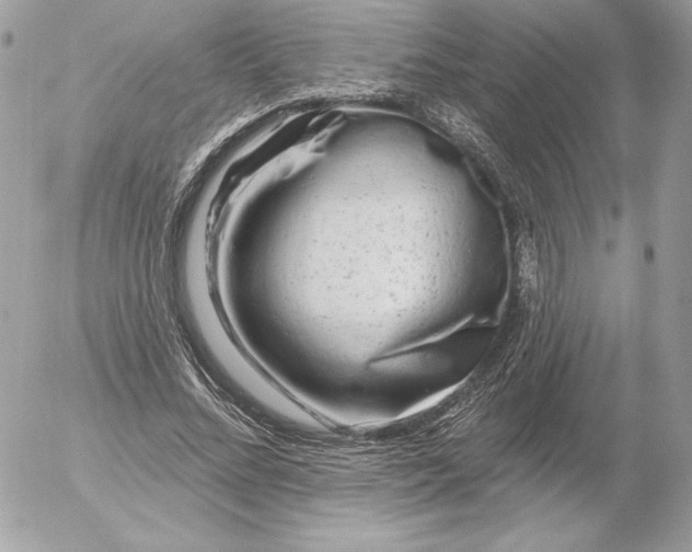 X0000052930684200507221122