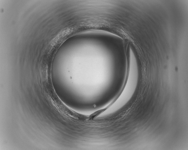 X0000052930685200507221122