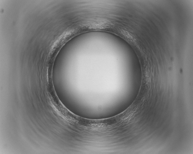 X0000052930686200507221122