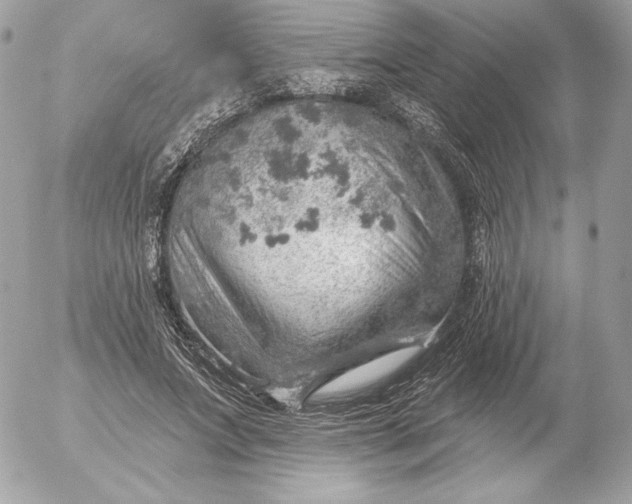 X0000052930687200507221122