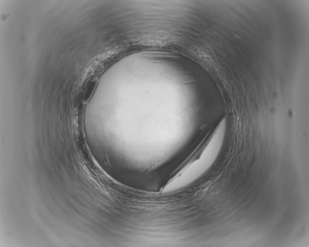 X0000052930688200507221122