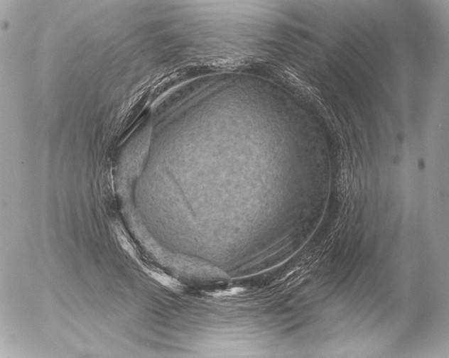 X0000052930689200507221122