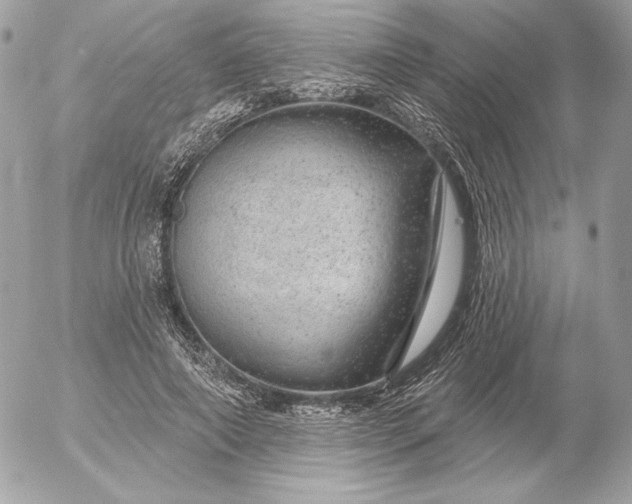 X0000052930690200507221122