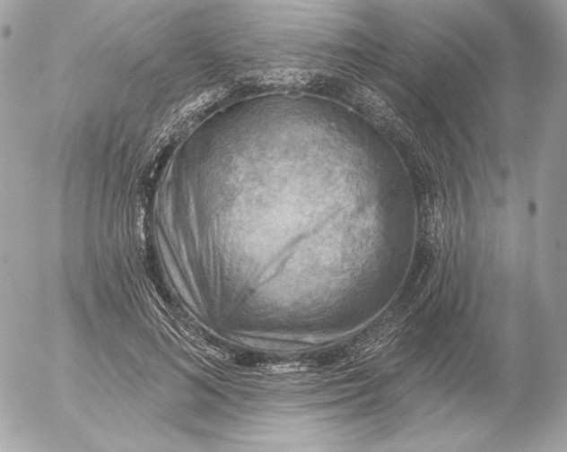 X0000052930692200507221122