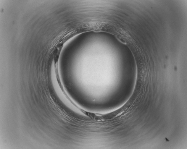 X0000052930693200507221122