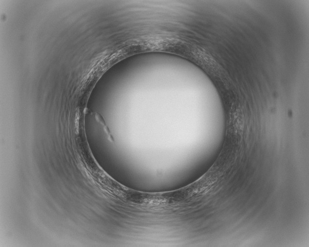 X0000052930694200507221122