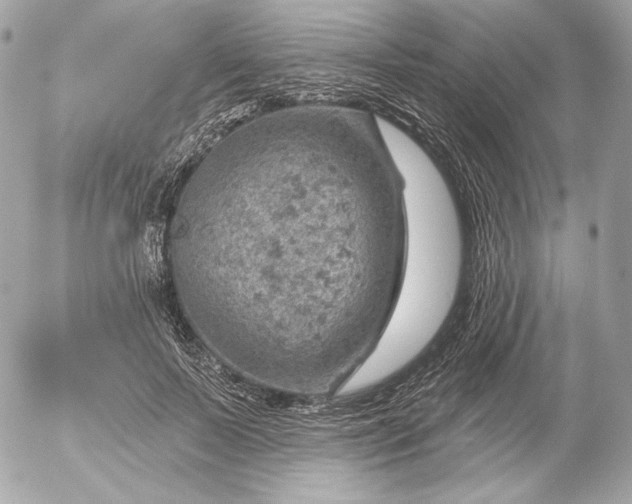 X0000052930695200507221122