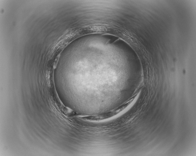 X0000052930696200507221122