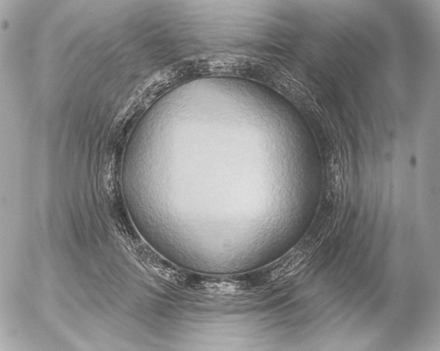 X0000052930698200507221122