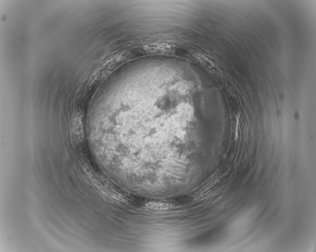 X0000052930699200507221122