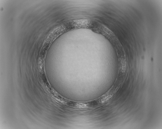 X0000052930701200507221122