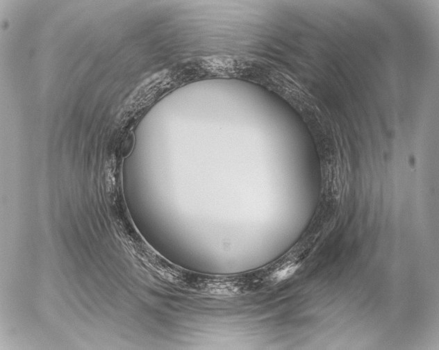 X0000052930702200507221122