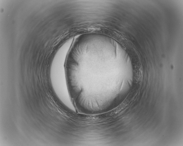 X0000052930704200507221122