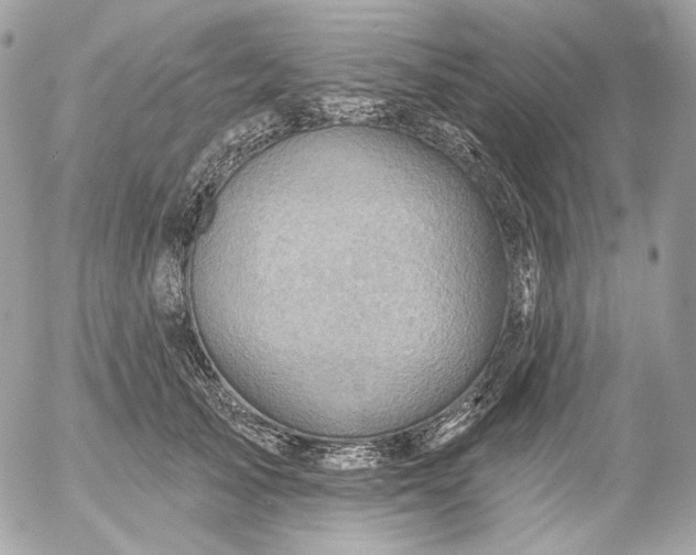 X0000052930705200507221122