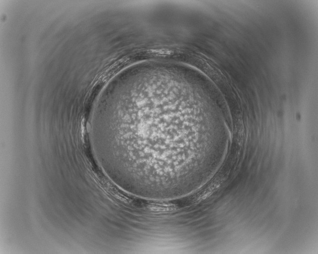 X0000052930707200507221122