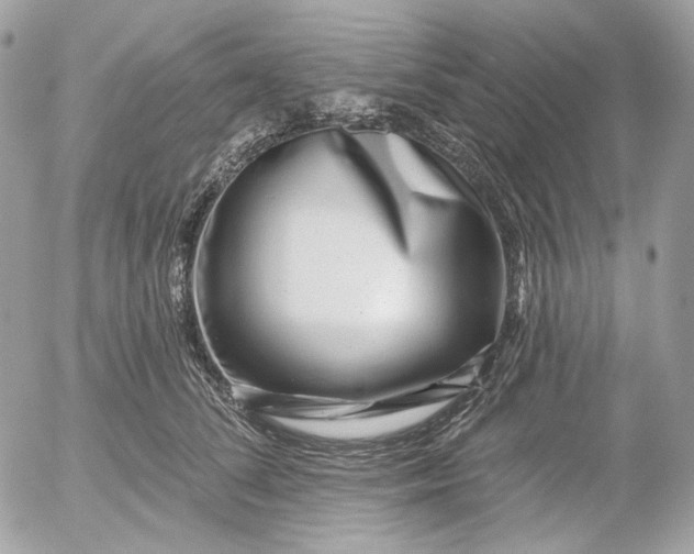 X0000052930708200507221122