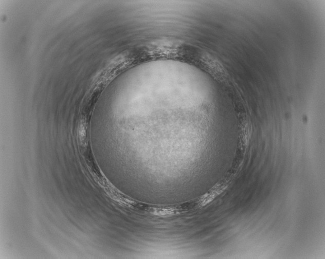 X0000052930709200507221121