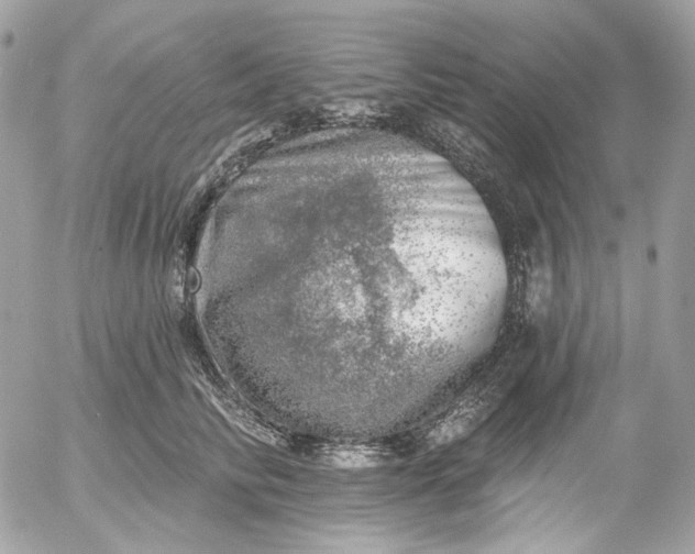 X0000052930710200507221121