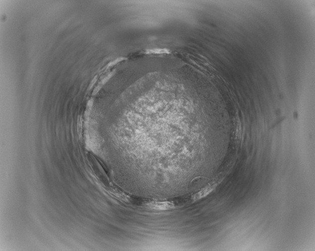 X0000052930711200507221121