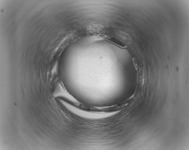 X0000052930712200507221121