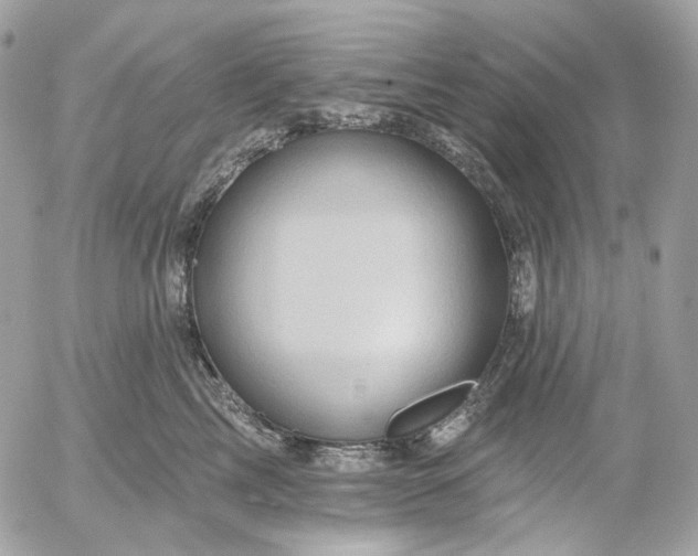 X0000052930713200507221121