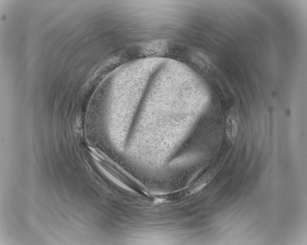 X0000052930714200507221121