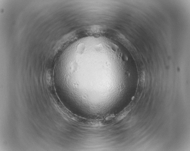 X0000052930715200507221121