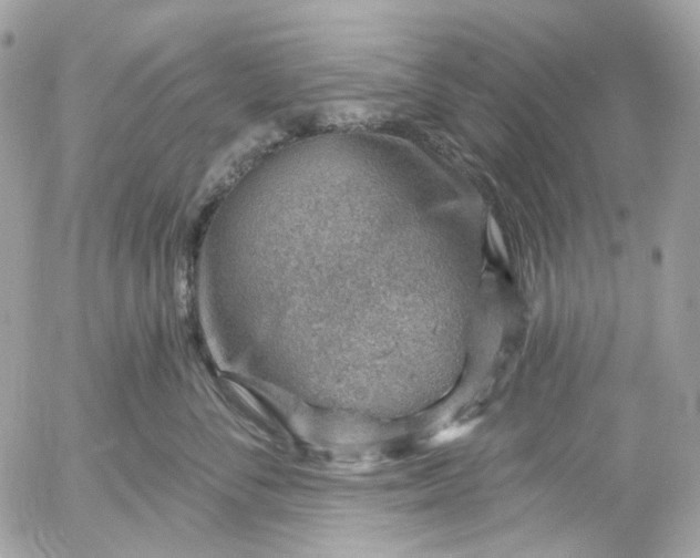 X0000052930716200507221121