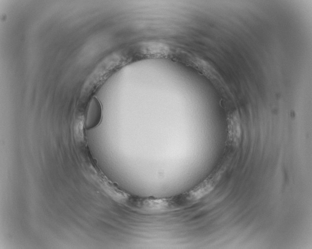 X0000052930717200507221121