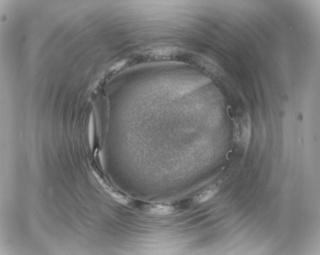 X0000052930718200507221121