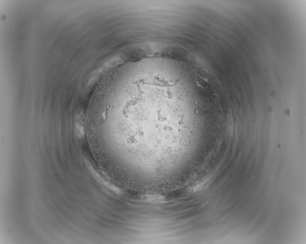 X0000052930719200507221121